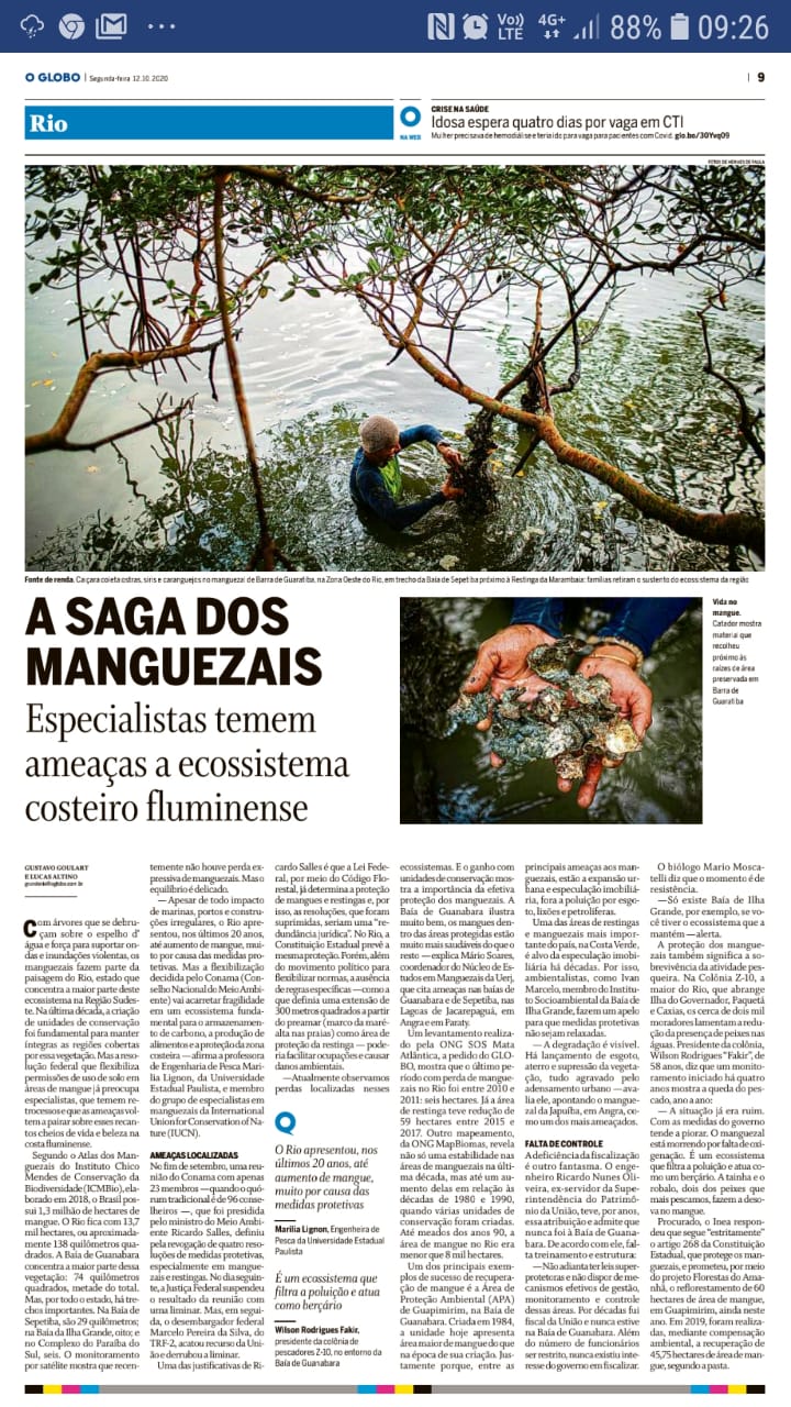A saga dos manguezais